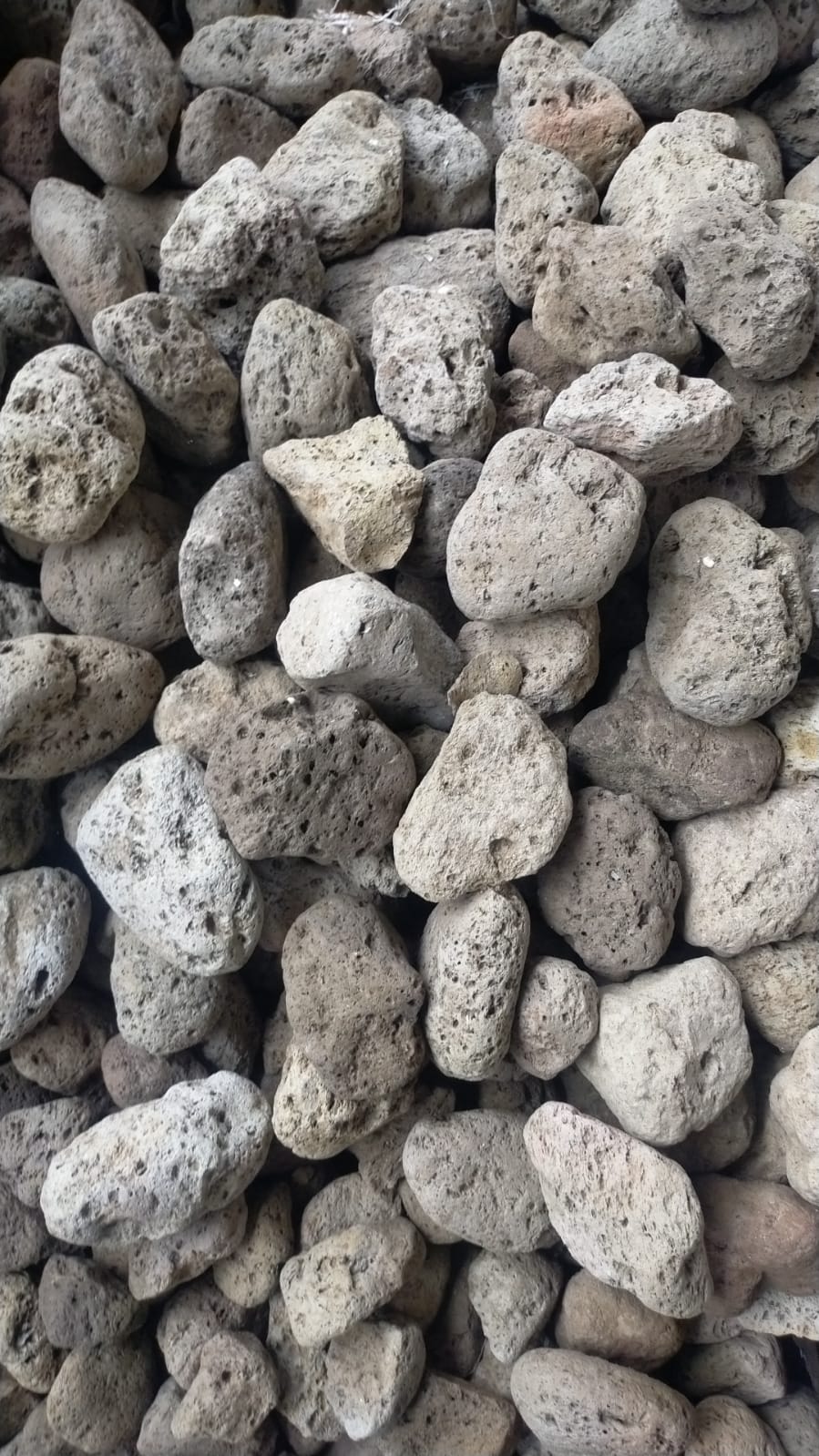 Pumice Stone - Premium Indonesian natural stone from NOA