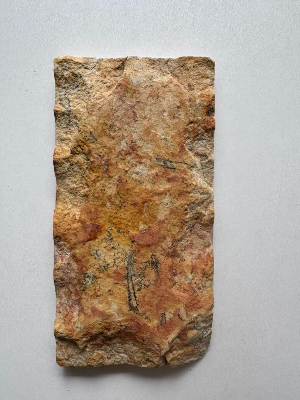Terra Stone Texture - Premium Indonesian natural stone from NOA